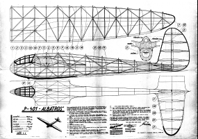 Albatros